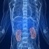 Cuba anuncia ensayo clínico con Heberferon para cáncer renal
